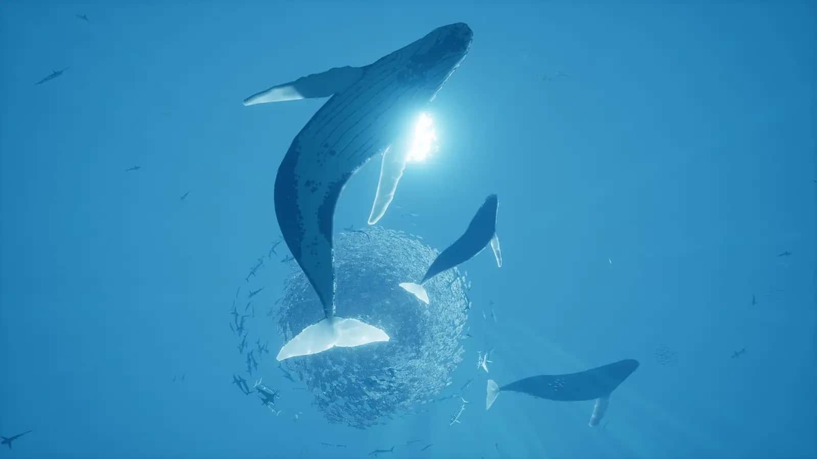 https://erysta-cdn.com/medias/abzu-wallpaper-1.webp