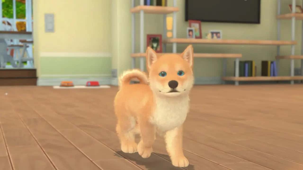 https://erysta-cdn.com/medias/my-universe-puppies-and-kittens-P99VIUEK-screenshot-2.webp