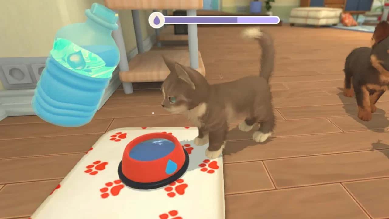 https://erysta-cdn.com/medias/my-universe-puppies-and-kittens-P99VIUEK-screenshot-5.webp