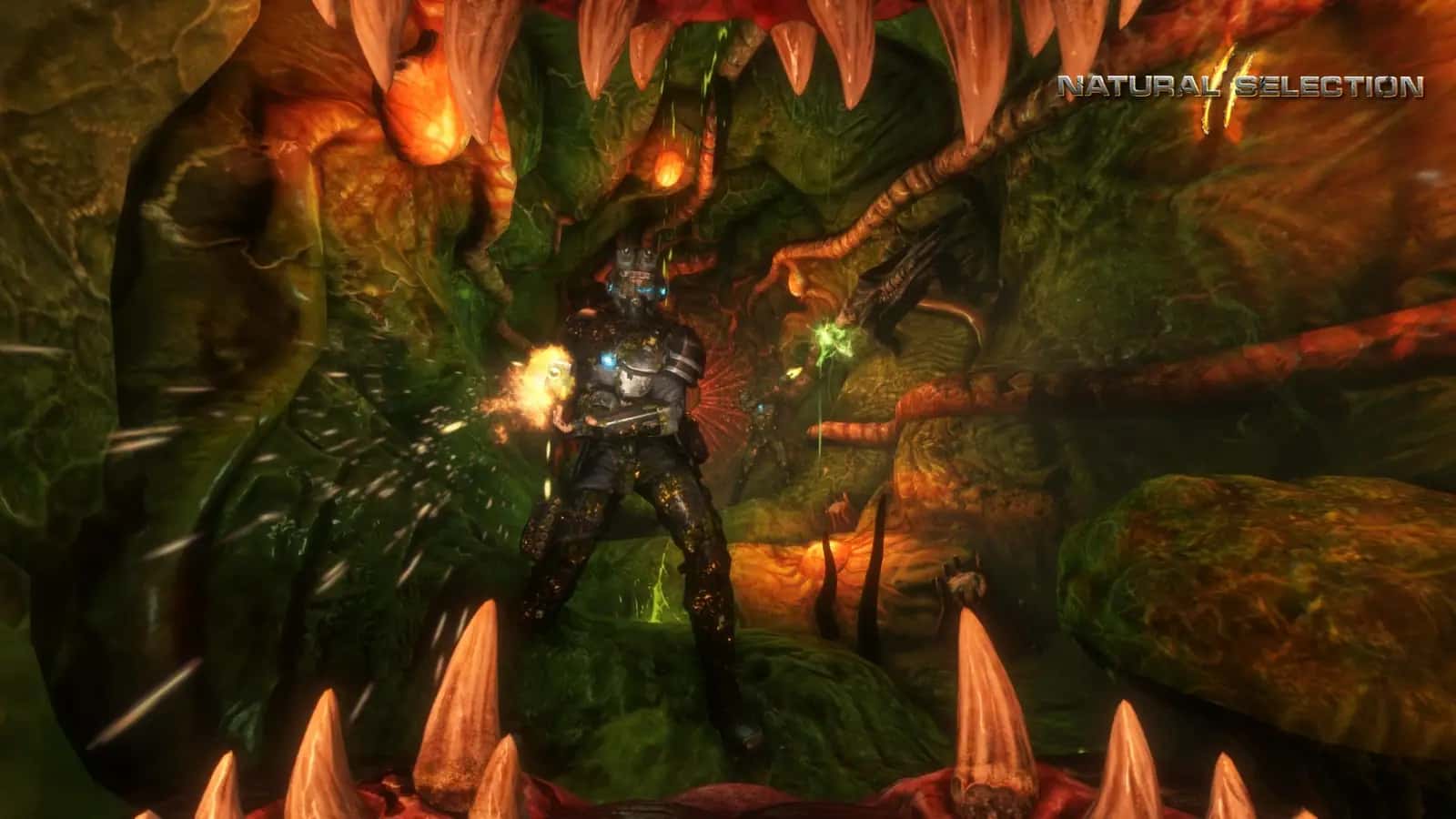 https://erysta-cdn.com/medias/natural-selection-2-wallpaper-1.webp