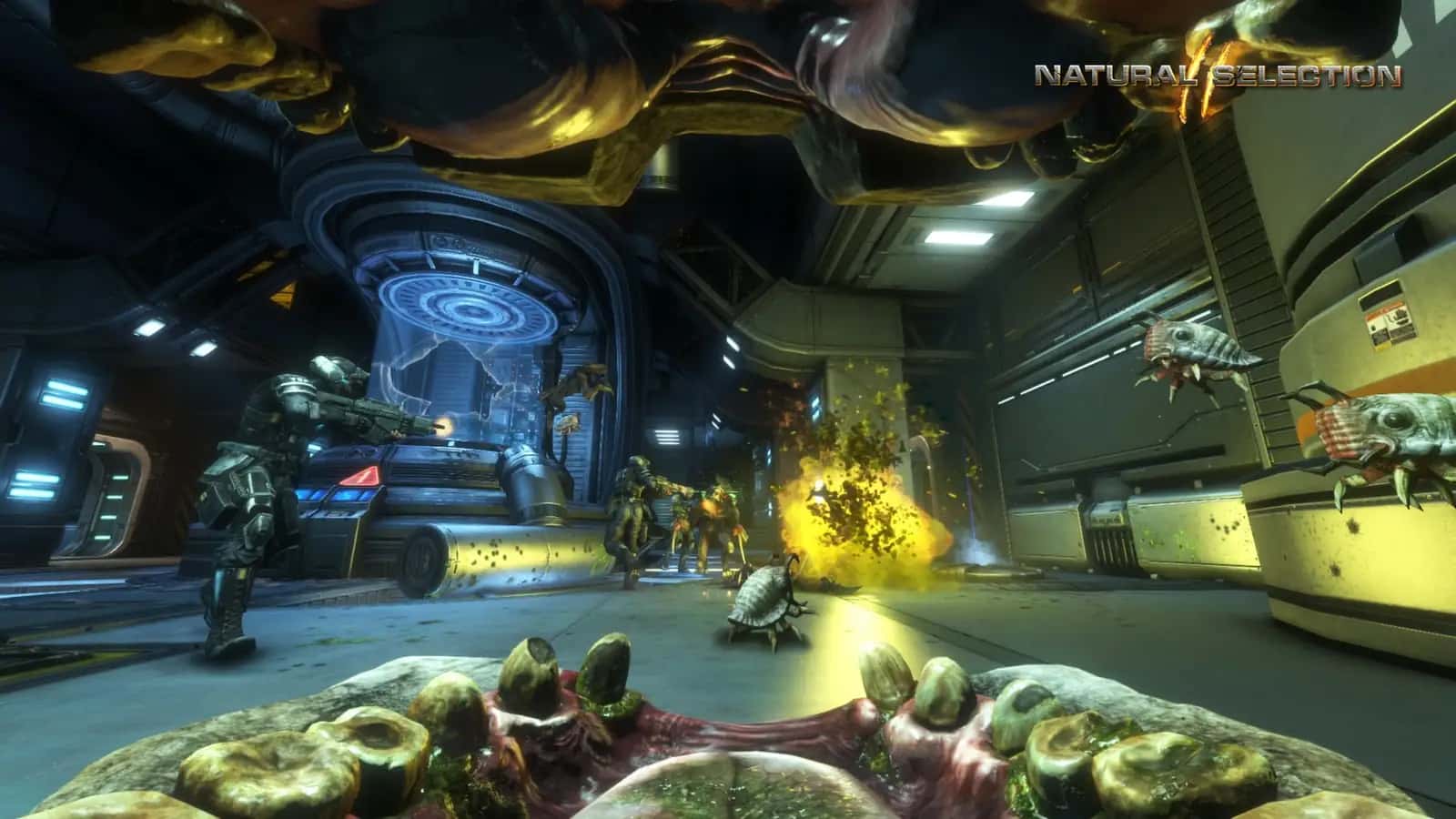 https://erysta-cdn.com/medias/natural-selection-2-wallpaper-3.webp