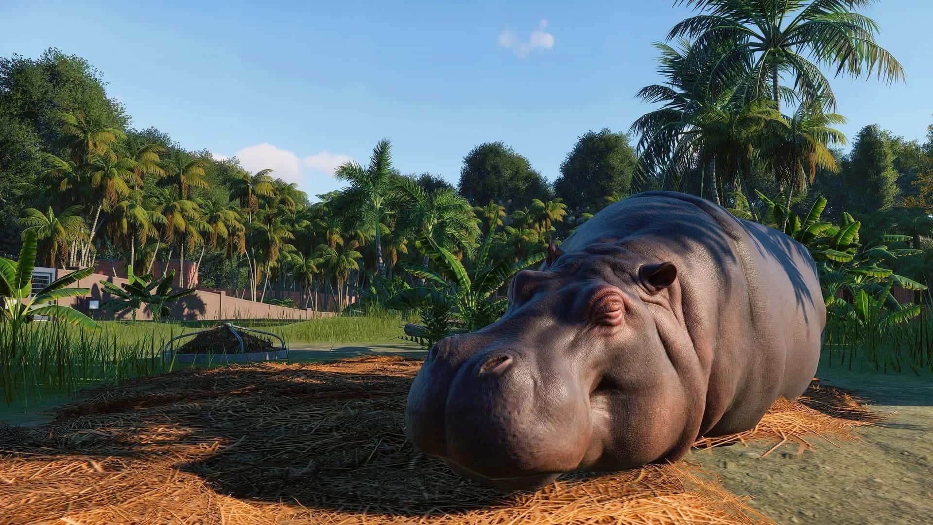 https://erysta-cdn.com/medias/planet-zoo-pc-game-steam-wallpaper-1.webp