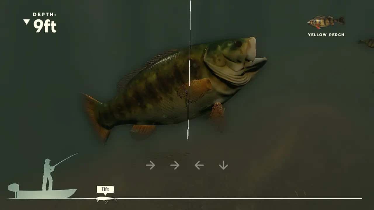 https://erysta-cdn.com/medias/rapala-fishing-pro-series-BTDIUUA0-screenshot-2.webp