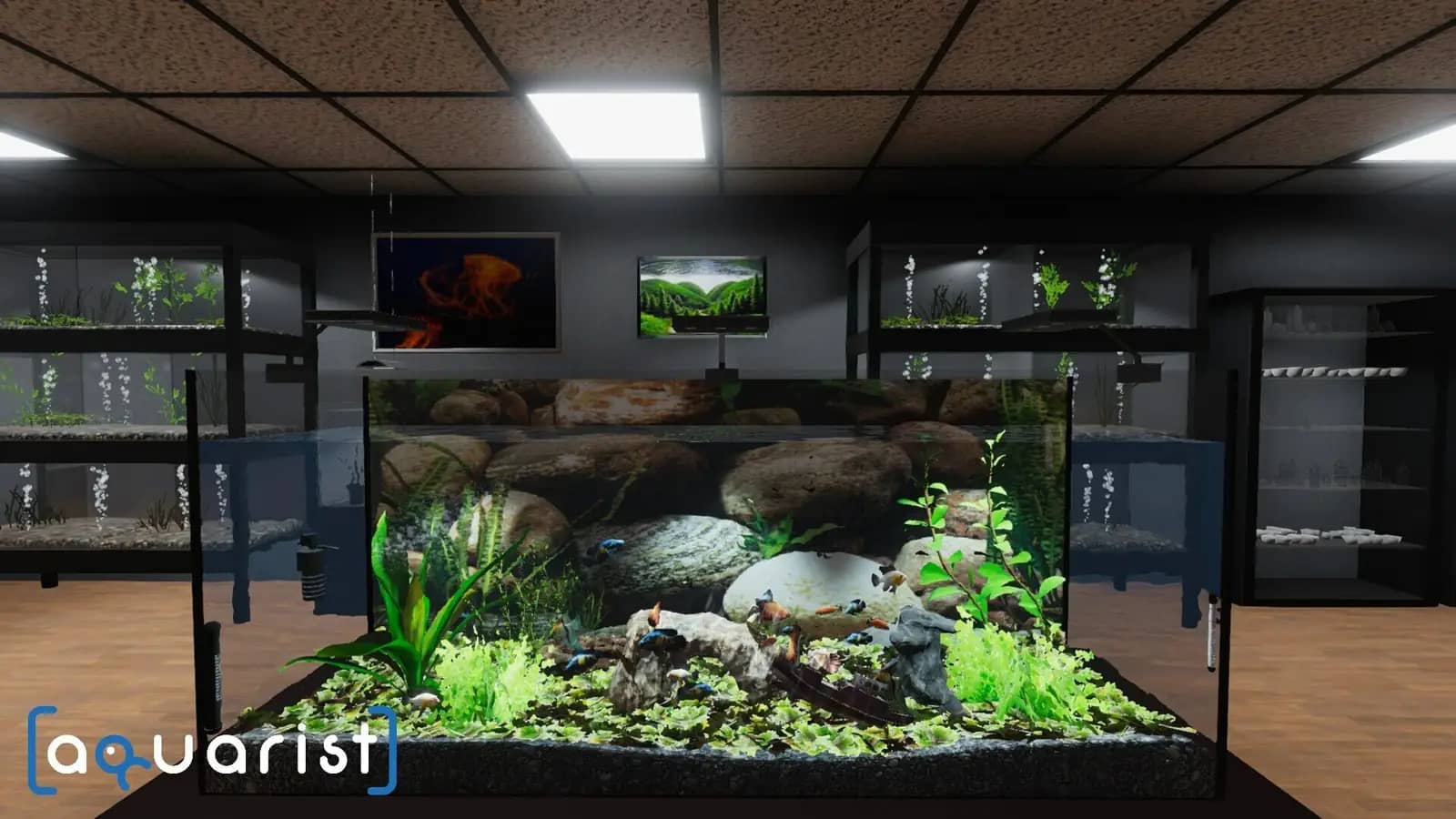 https://erysta-cdn.com/medias/aquarist-wallpaper-0.webp
