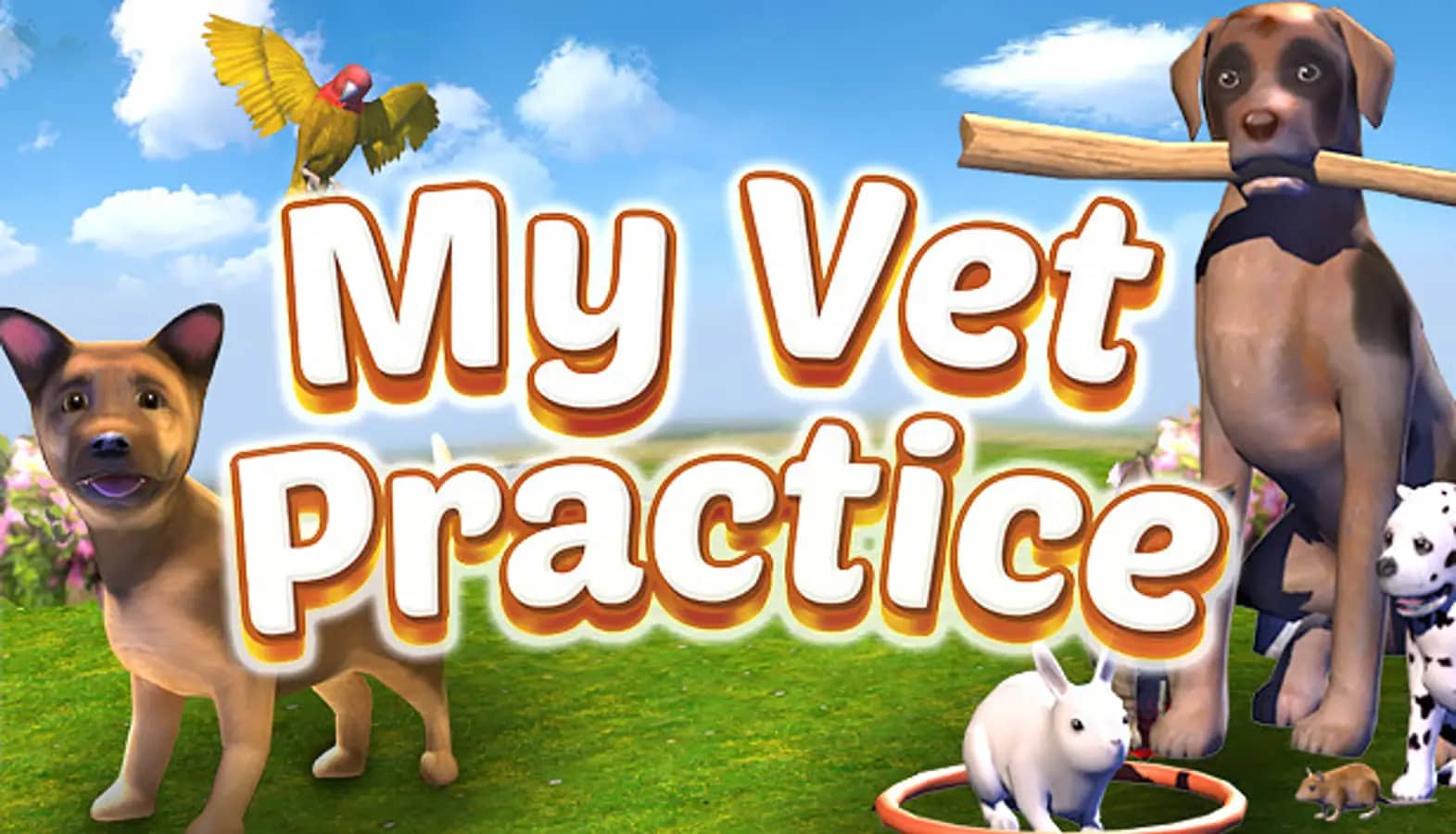 My Vet Practice
