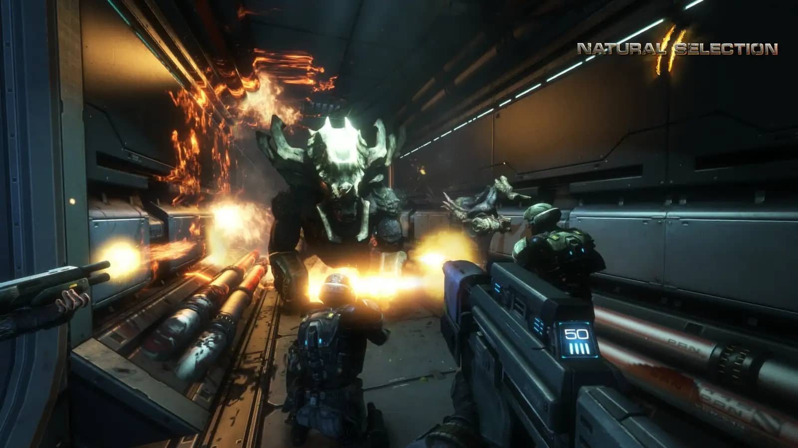 https://erysta-cdn.com/medias/natural-selection-2-wallpaper-0.webp