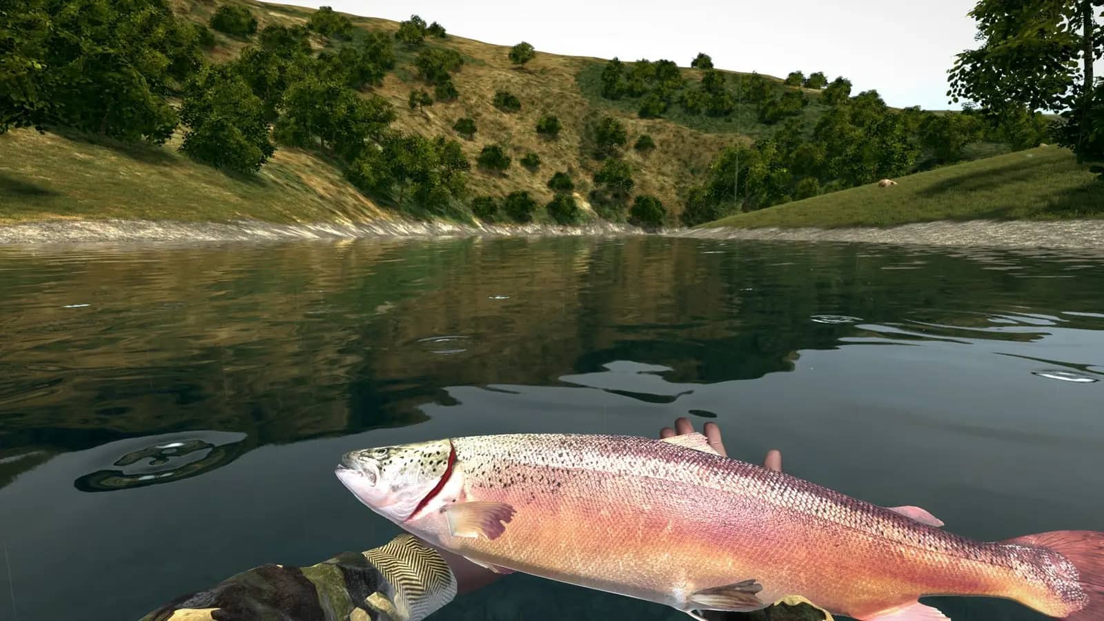 https://erysta-cdn.com/medias/ultimate-fishing-simulator-wallpaper-0-N3E4BJF8.webp