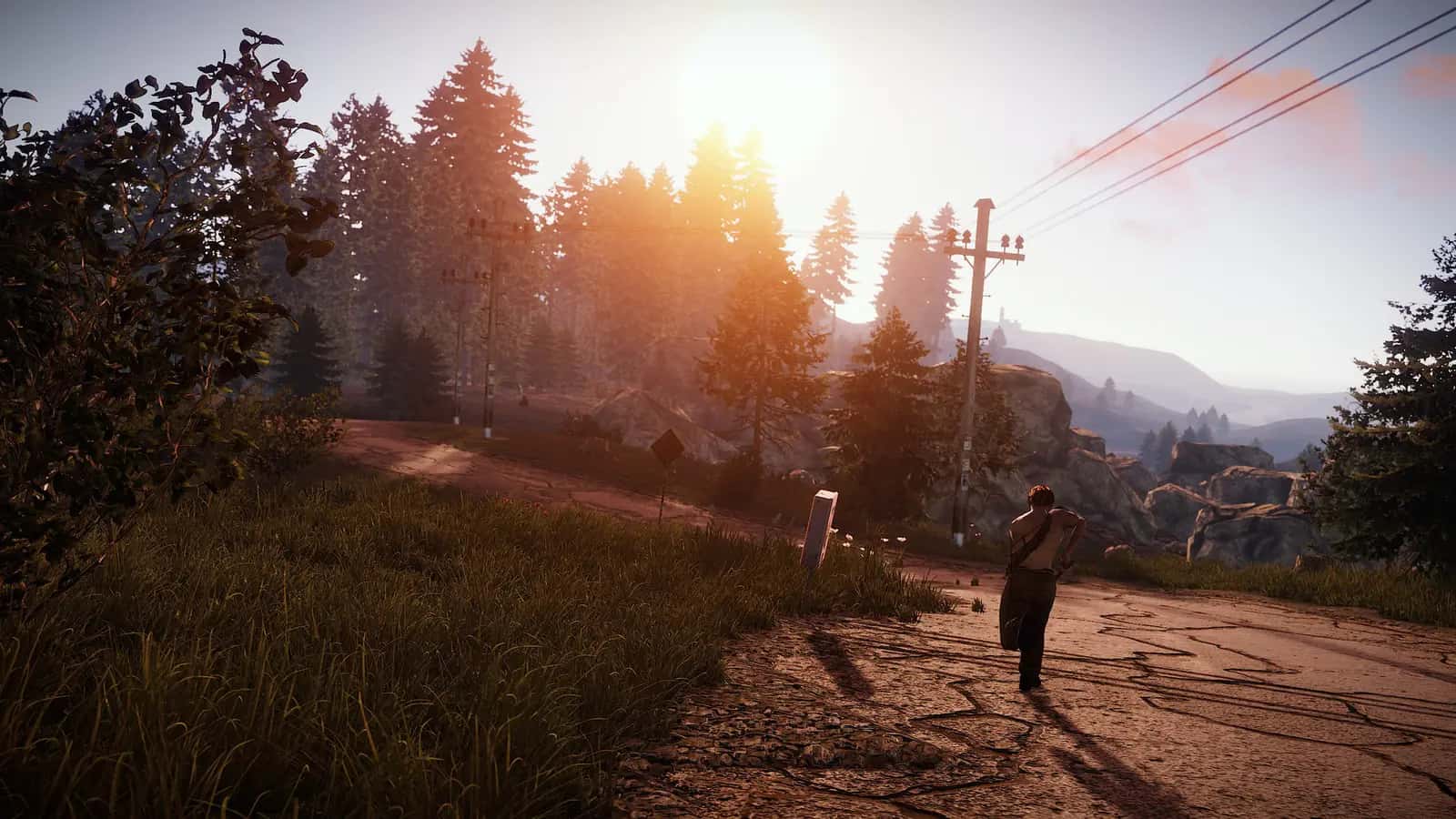 https://erysta-cdn.com/medias/rust-PTRFYZM8-screenshot-5.webp
